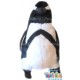 Pinguino Grande Tuti Frutti 211AF300-A